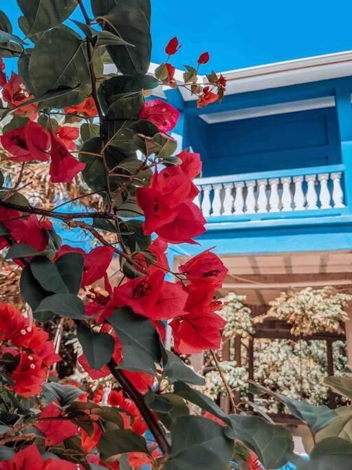 Vacation Home Blue Lotus Caye Caulker Exterior foto